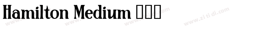 Hamilton Medium字体转换